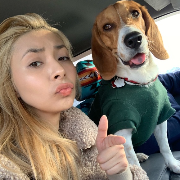 Meet your Posher, Sage - Picture 1 of 6